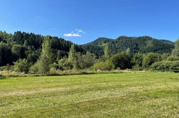 Grundstück kaufen in 8653 Stanz (Bild 1)