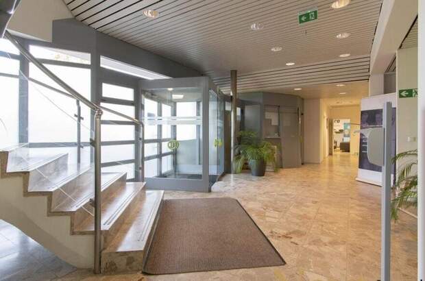 Gewerbeobjekt mieten in 4061 Pasching (Bild 5)