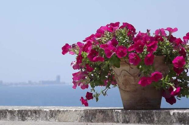 Wohnung kaufen in 73013 Lido Conchiglie (Bild 2)