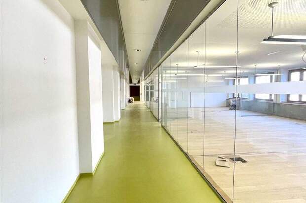 Gewerbeobjekt mieten in 1010 Wien (Bild 4)