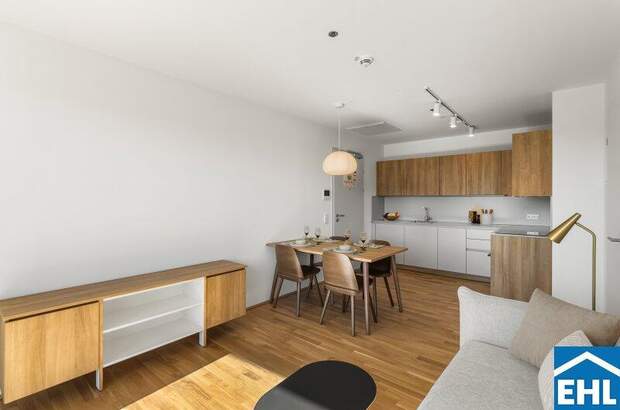 Terrassenwohnung mieten in 1200 Wien (Bild 3)