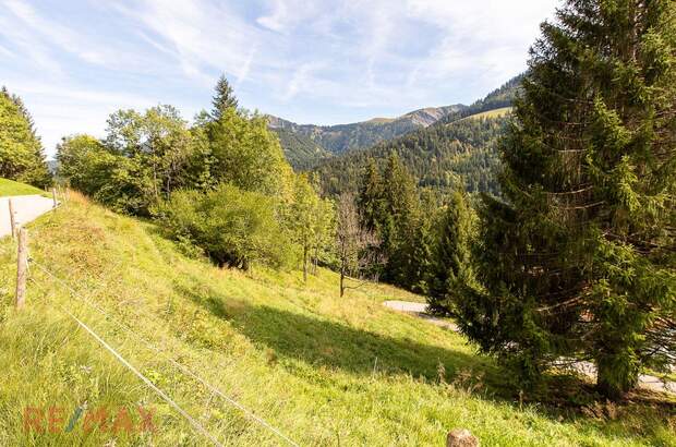 Grundstück kaufen in 6850 Dornbirn (Bild 2)