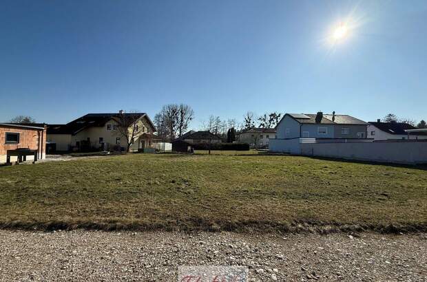 Grundstück kaufen in 4614 Marchtrenk (Bild 2)