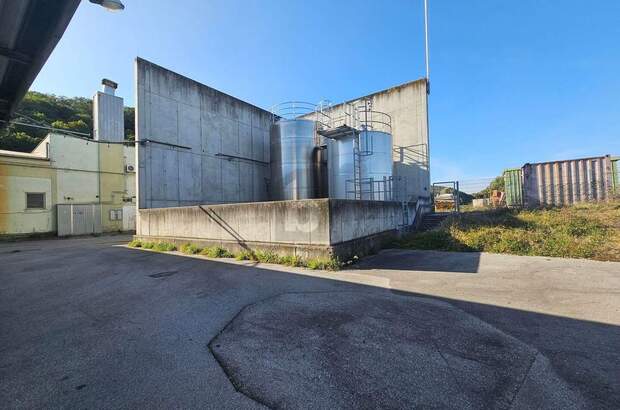 Produktion kaufen in 2413 Berg (Bild 4)