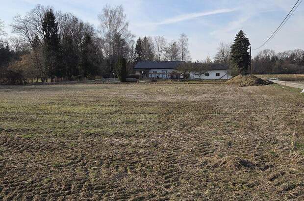 Grundstück kaufen in 8483 Deutsch Goritz (Bild 5)