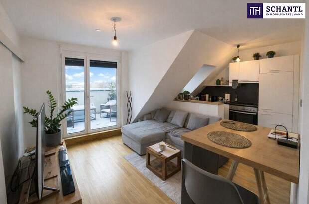 Terrassenwohnung kaufen in 1220 Wien (Bild 1)