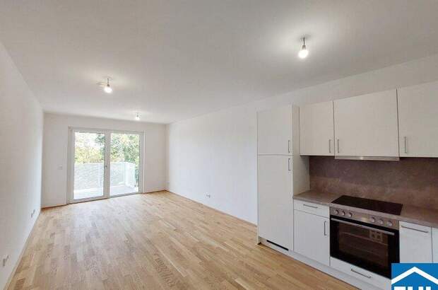 Terrassenwohnung mieten in 1110 Wien (Bild 1)