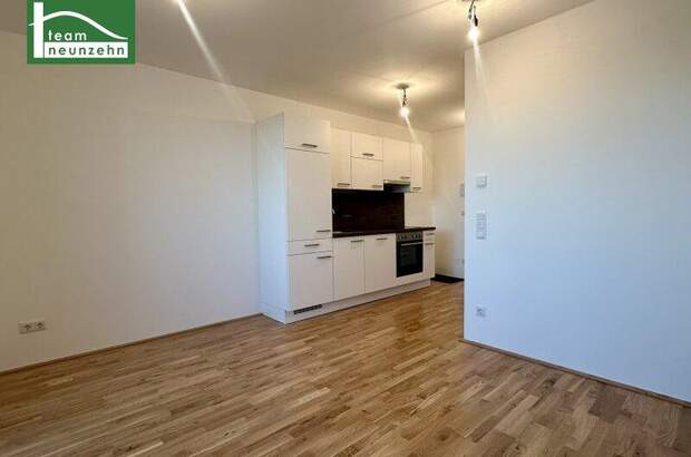 Terrassenwohnung mieten in 1220 Wien (Bild 1)