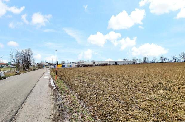 Grundstück mieten in 4975 Suben (Bild 5)