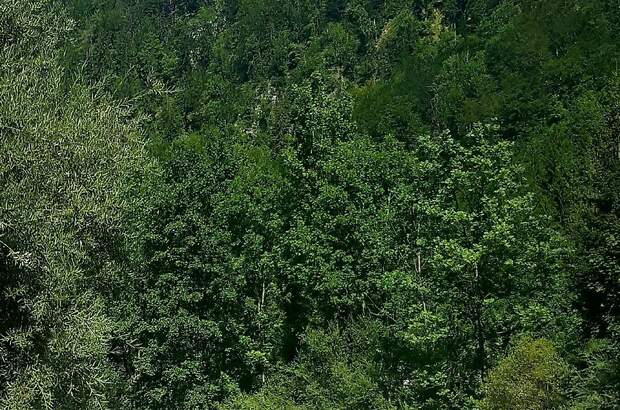 Eigentumswohnung in 4644 scharnstein (Bild 3)