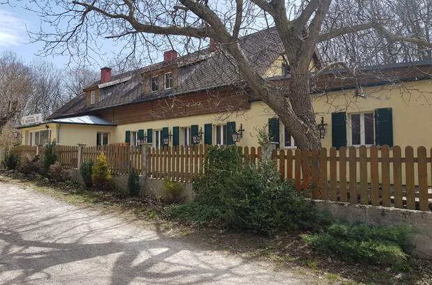 Einfamilienhaus kaufen in 2391 Kaltenleutgeben (Bild 2)