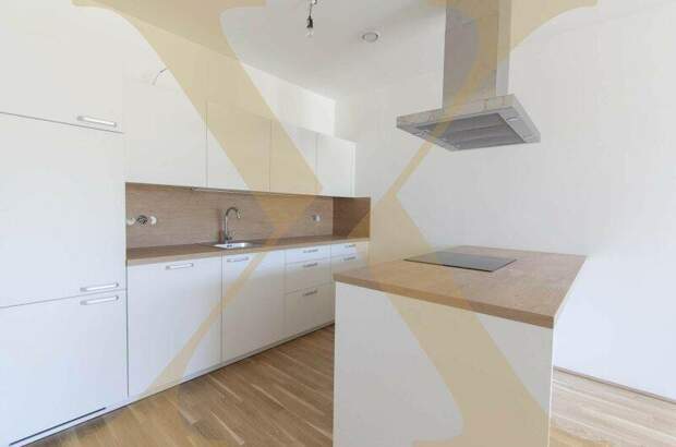 Terrassenwohnung mieten in 4020 Linz (Bild 1)