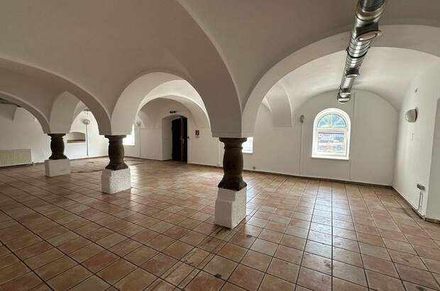 Gewerbeobjekt mieten in 4052 Ansfelden (Bild 3)