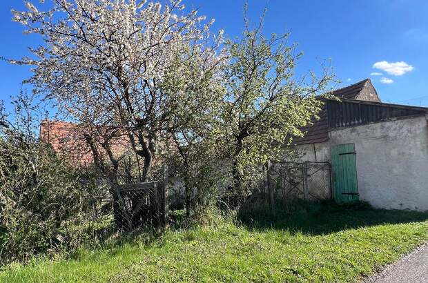Haus mit Garten kaufen in 7091 Breitenbrunn (Bild 2)