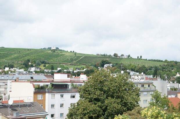Terrassenwohnung mieten in 1190 Wien (Bild 2)