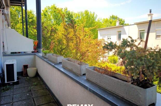 Terrassenwohnung kaufen in 1230 Wien (Bild 5)
