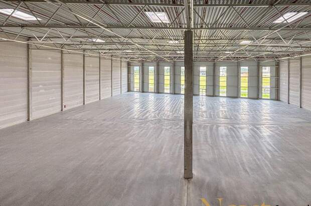 Gewerbeobjekt mieten in 4470 Enns (Bild 4)