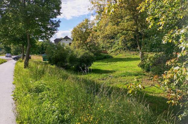 Gewerbeobjekt kaufen in 8046 Graz (Bild 2)