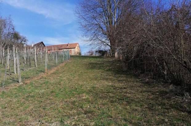 Gewerbeobjekt kaufen in 8342 Gnas (Bild 1)