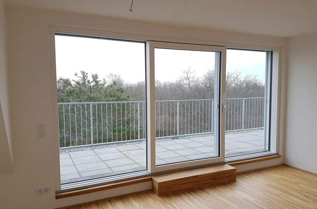 Terrassenwohnung mieten in 1220 Wien (Bild 2)