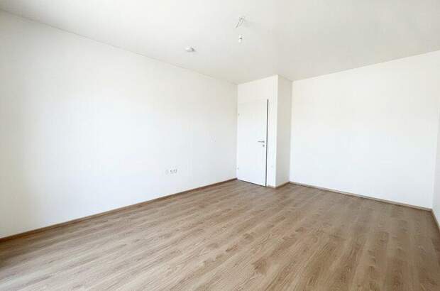 Terrassenwohnung mieten in 2104 Spillern (Bild 5)