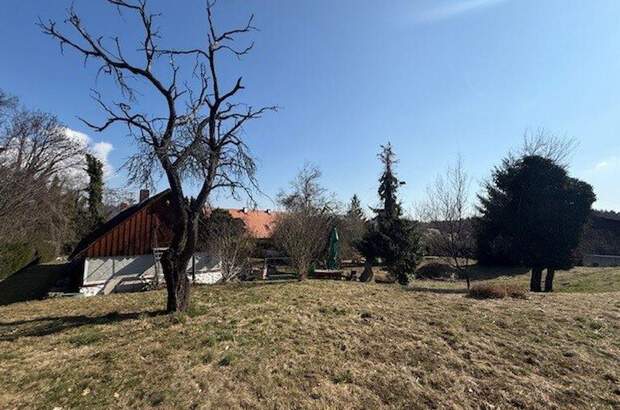 Grundstück kaufen in 8051 Thal (Bild 5)