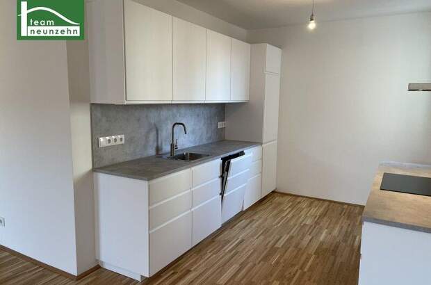 Terrassenwohnung mieten in 1230 Wien (Bild 2)