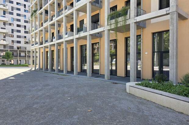 Gewerbeobjekt mieten in 8020 Graz (Bild 1)