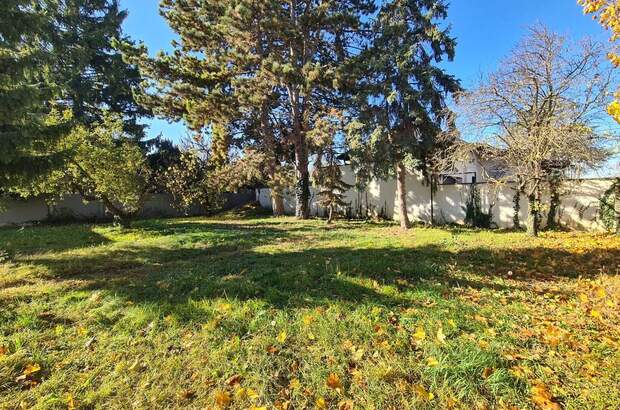 Grundstück kaufen in 1220 Wien (Bild 2)