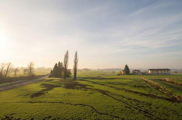 Terrassenwohnung mieten in 3241 Kirnberg (Bild 4)