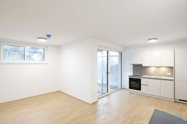 Wohnung mieten in 1190 Wien (Bild 1)