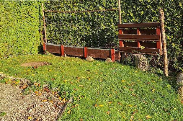 Grundstück mieten in 4491 Dörfl (Bild 3)