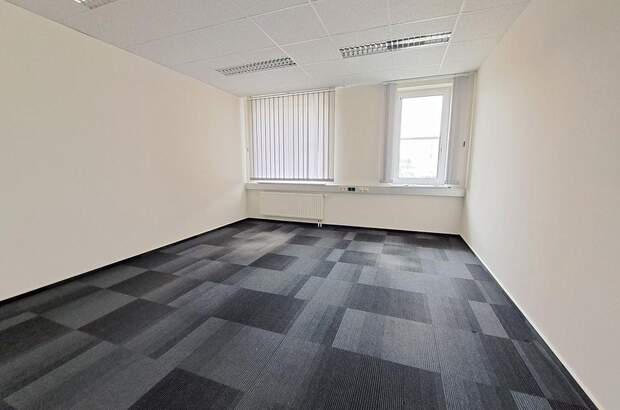 Gewerbeobjekt mieten in 3105 St.Pölten (Bild 5)