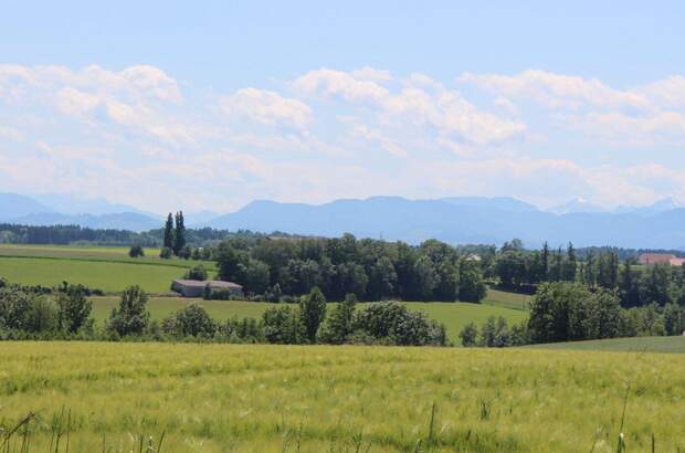 Grundstück kaufen in 4491 Niederneukirchen (Bild 4)
