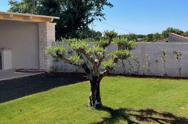 Haus kaufen in 52352 Marici (Bild 5)