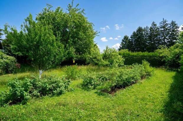 Einfamilienhaus kaufen in 3031 Rekawinkel (Bild 3)