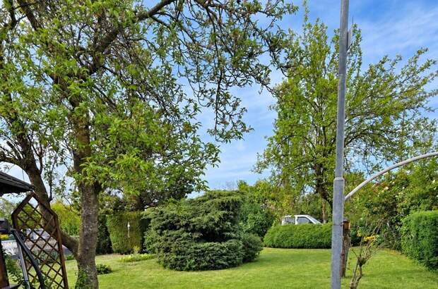 Haus mit Garten kaufen in 2620 Neunkirchen (Bild 3)