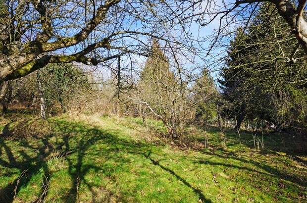 Grundstück kaufen in 3001 Mauerbach (Bild 4)