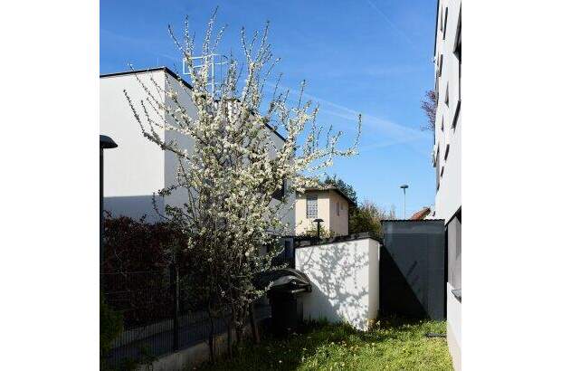 Terrassenwohnung kaufen in 1230 Wien (Bild 5)