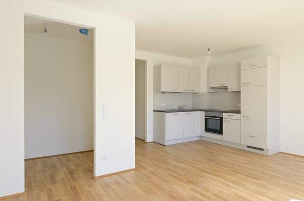 Terrassenwohnung mieten in 1100 Wien (Bild 4)