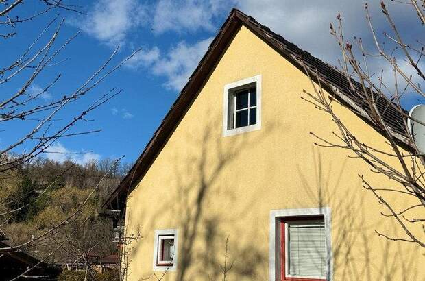 Ferienhaus kaufen in 9853 Gmünd (Bild 3)