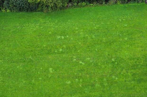 Grundstück kaufen in 8334 Riegersburg (Bild 2)