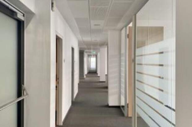 Gewerbeobjekt mieten in 1230 Wien (Bild 4)