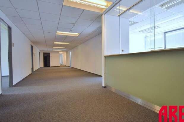 Gewerbeobjekt mieten in 4020 Linz (Bild 3)