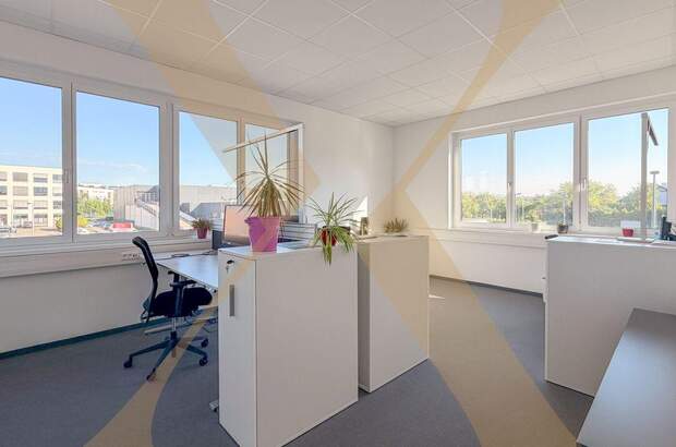 Gewerbeobjekt mieten in 4060 Leonding (Bild 1)
