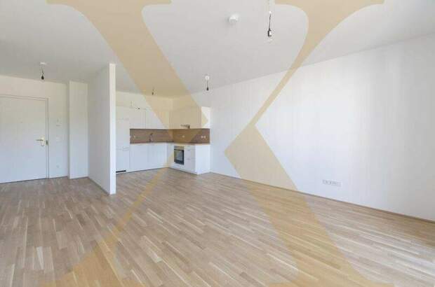 Terrassenwohnung mieten in 4020 Linz (Bild 1)