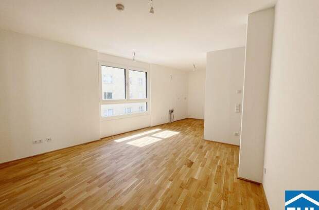 Terrassenwohnung kaufen in 1100 Wien (Bild 2)