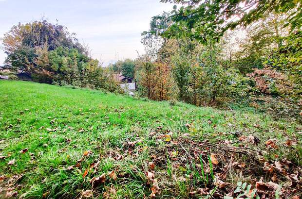 Grundstück kaufen in 4650 Lambach (Bild 3)