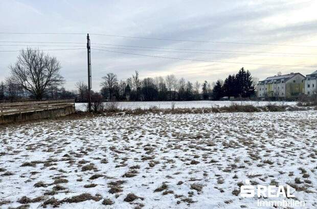 Grundstück kaufen in 4070 Pupping (Bild 4)