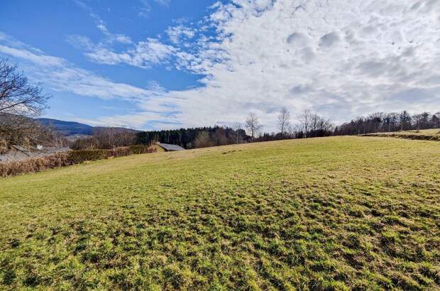 Grundstück kaufen in 8101 Gratkorn (Bild 4)